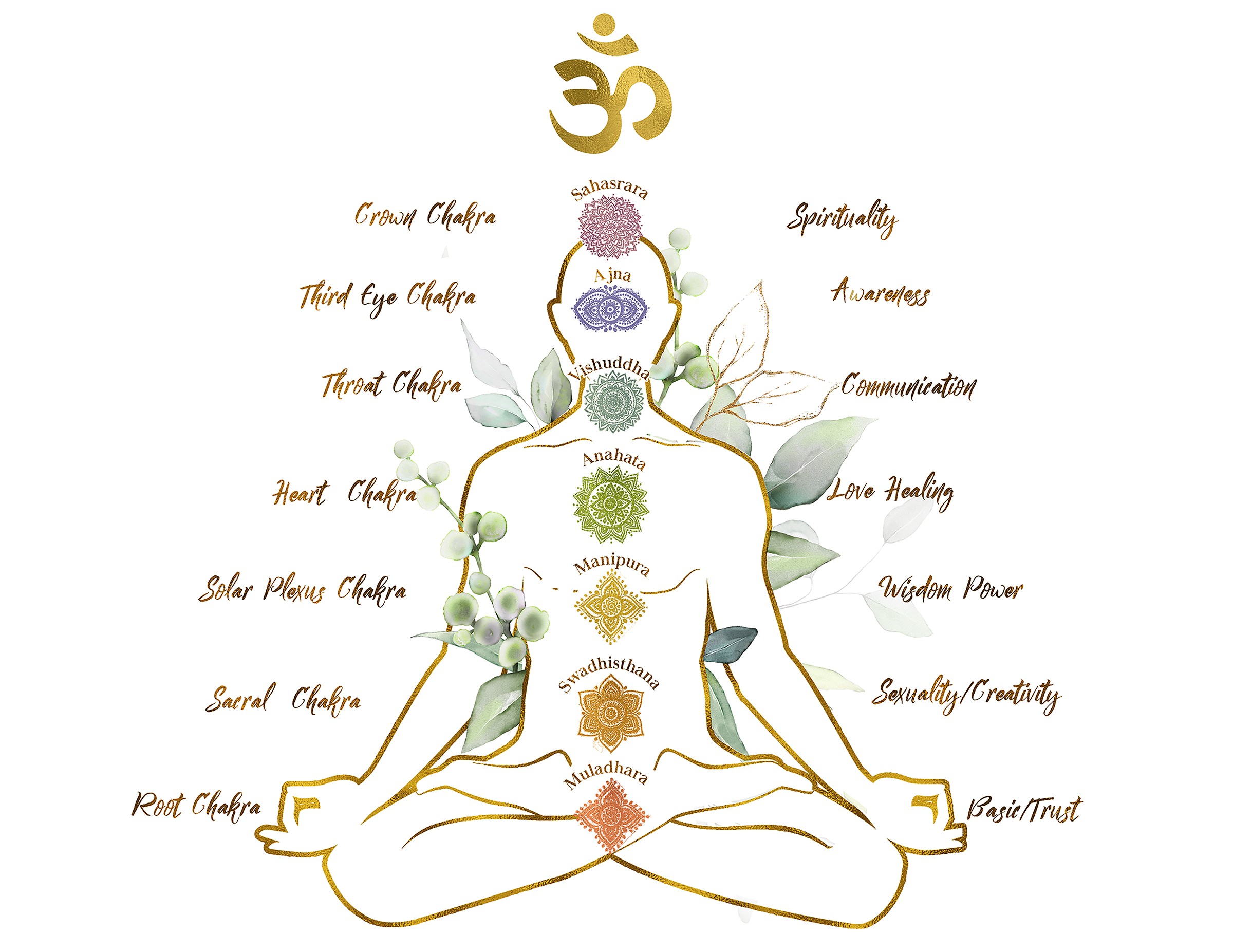sketch of human body with the seven chakra centres